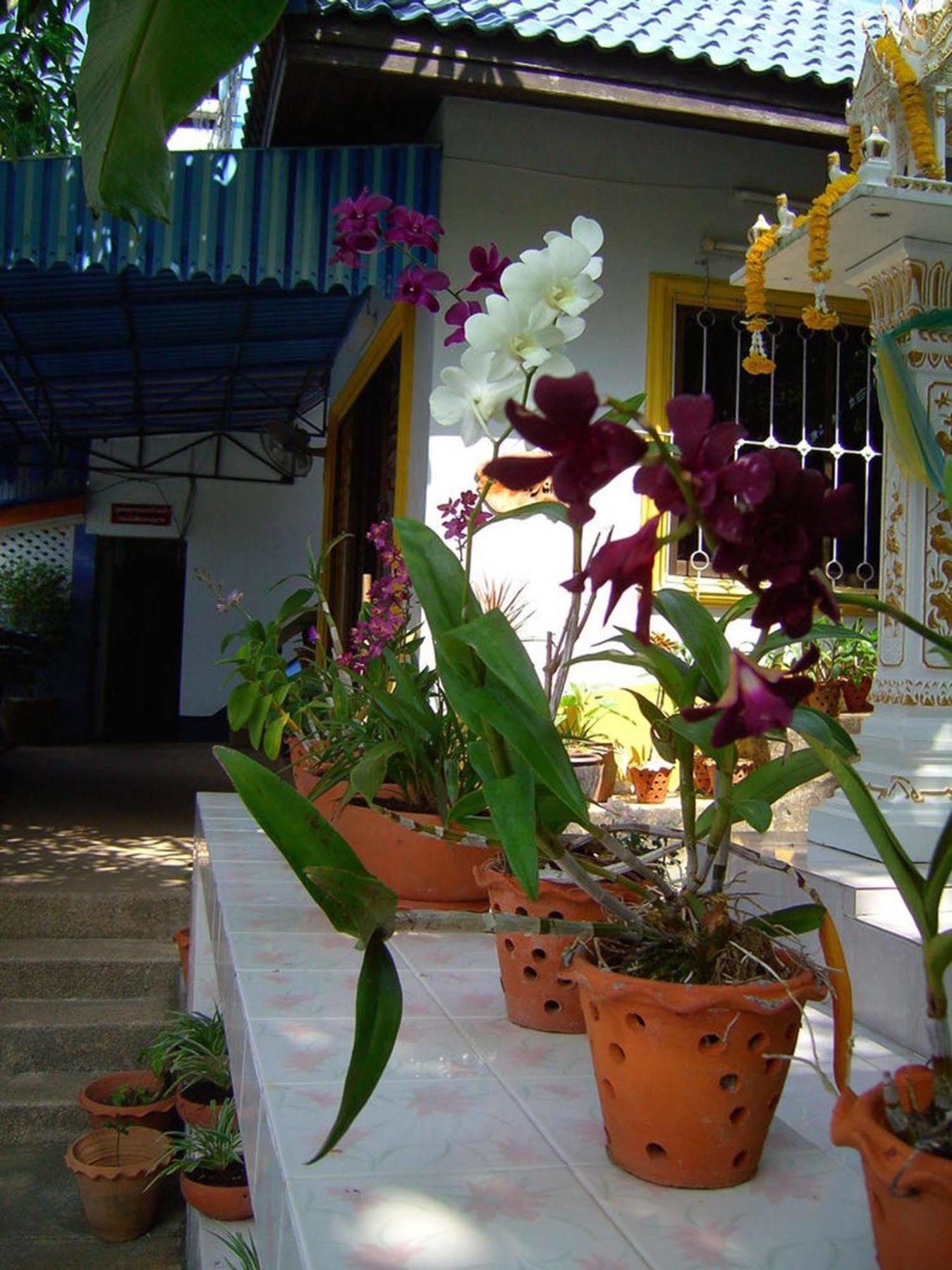 On Hill Phuket 2* Patong